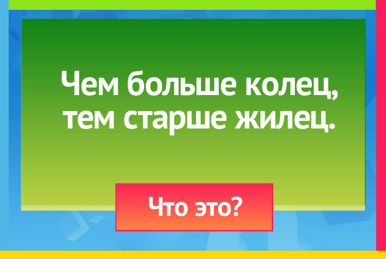 Чем больше колец, тем старше жилец.