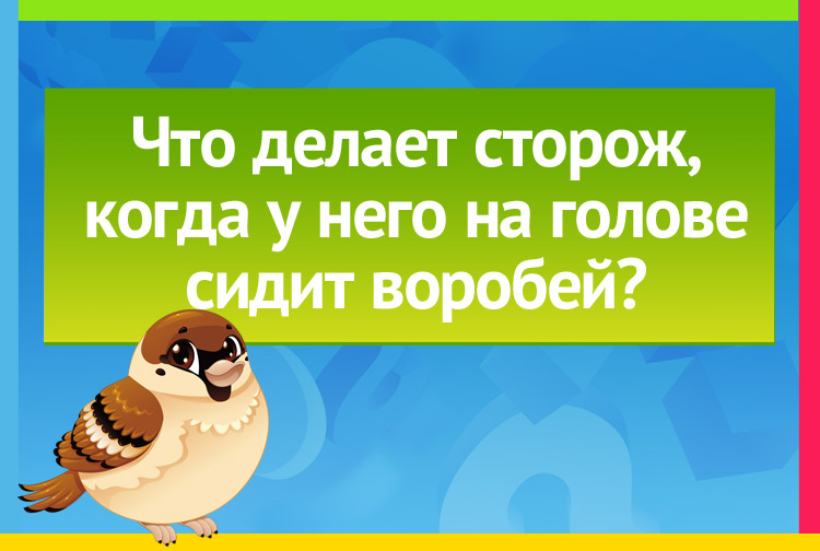 Что делает сторож, когда у него на голове сидит воробей?