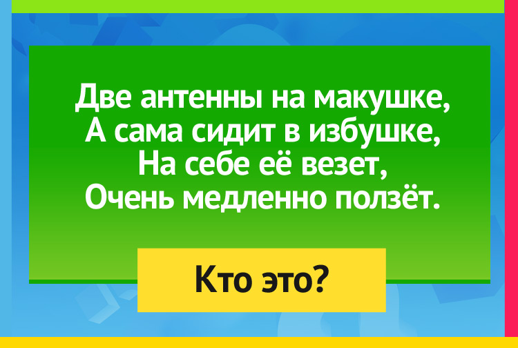 Две антенны на макушке, А сама сидит в избушке, На себе её везет, Очень медленно ползёт.
