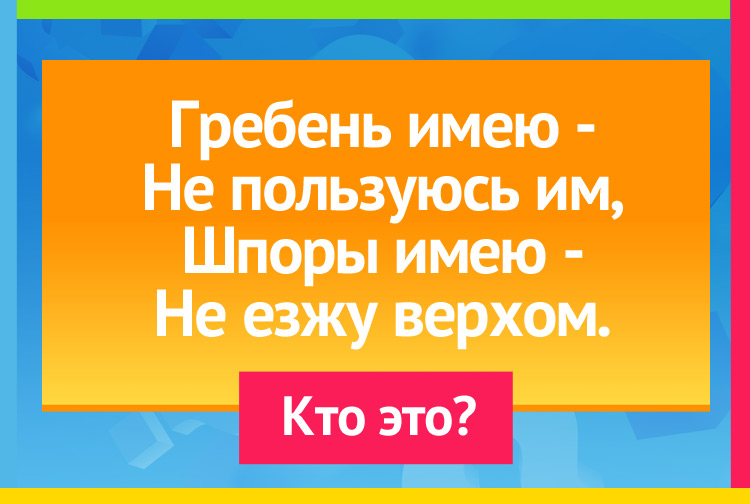 Гребень имею - Не пользуюсь им, Шпоры имею - Не езжу верхом.