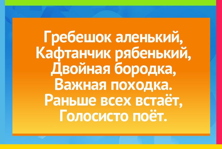 Гребешок аленький, Кафтанчик рябенький, Двойная бородка, Важная походка. Раньше всех встаёт, Голосисто поёт.