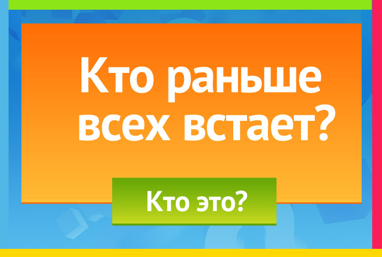Кто раньше всех встает?