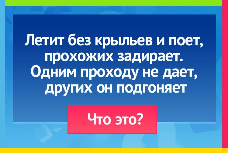 Летит без крыльев и поет, прохожих задирает. Одним проходу не дает, других он подгоняет.