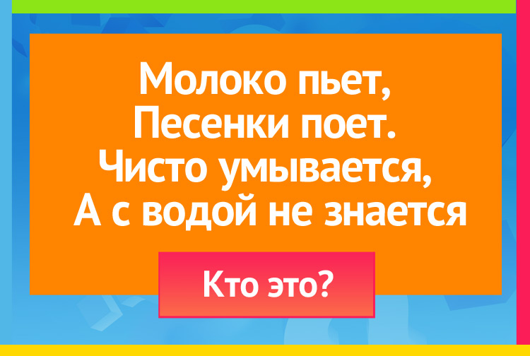 Молоко пьет, Песенки поет. Чисто умывается, А с водой не знается.
