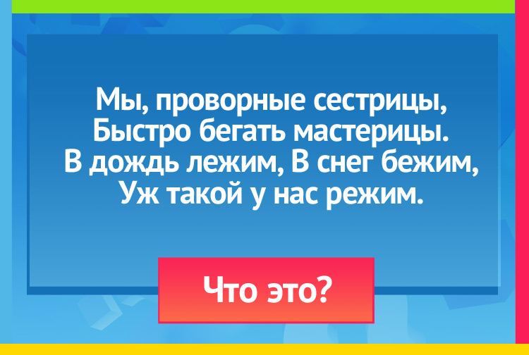 Мы, проворные сестрицы, Быстро бегать мастерицы. В дождь лежим, В снег бежим, Уж такой у нас режим.