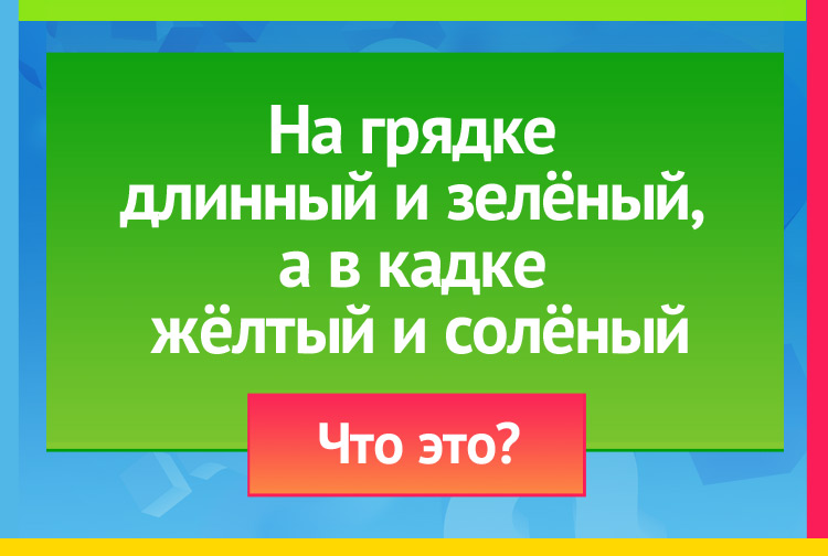 На грядке длинный и зелёный, А в кадке жёлтый и солёный.