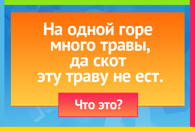 На одной горе много травы, Да скот эту траву не ест.