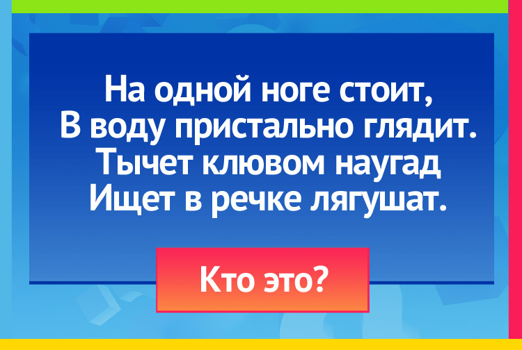 На одной ноге стоит, В воду пристально глядит. Тычет клювом наугад Ищет в речке лягушат.