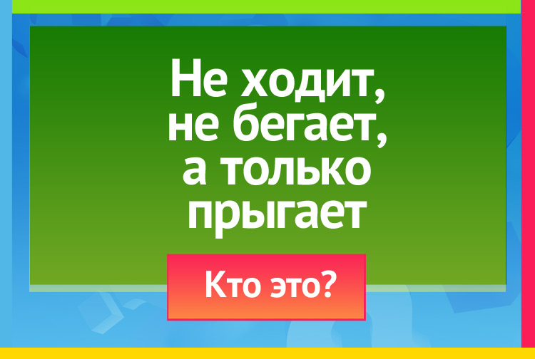 Не ходит, не бегает, А только прыгает.