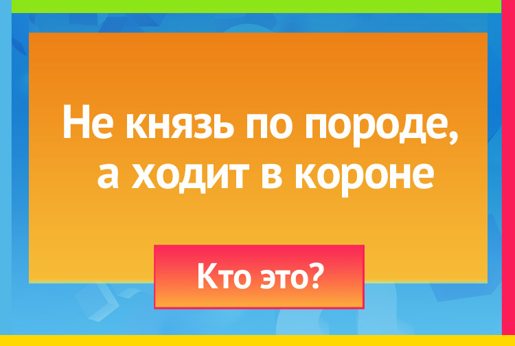 Не князь по породе, А ходит в короне.
