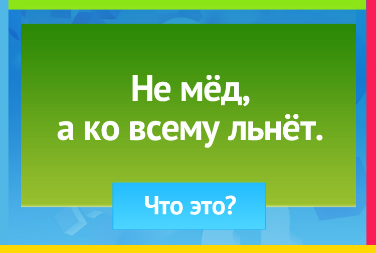 Не мёд, а ко всему льнёт.