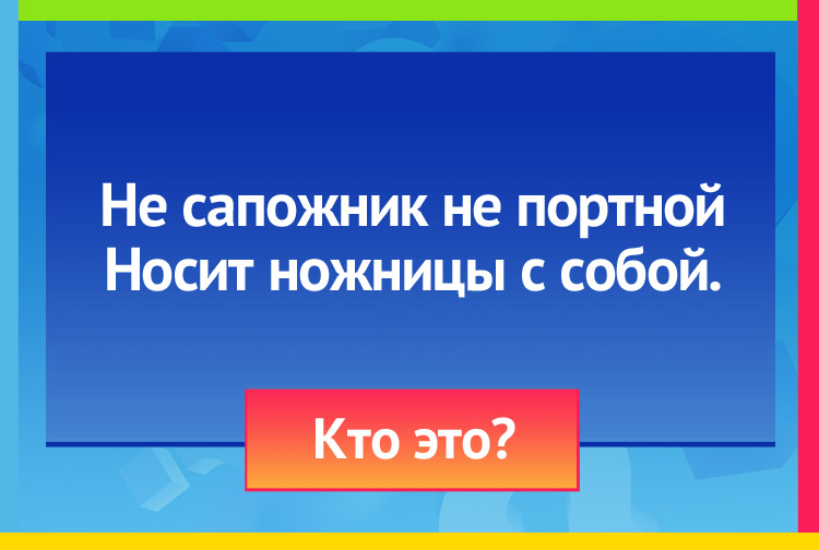 Не сапожник не портной Носит ножницы с собой.
