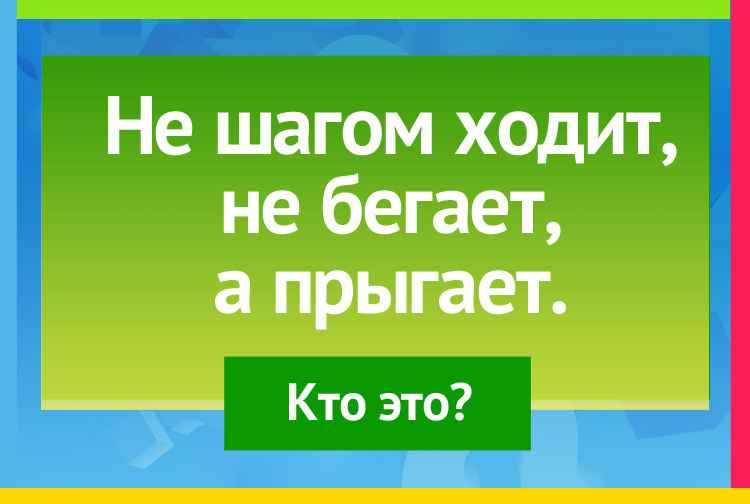 Не шагом ходит, не бегает, а прыгает. 