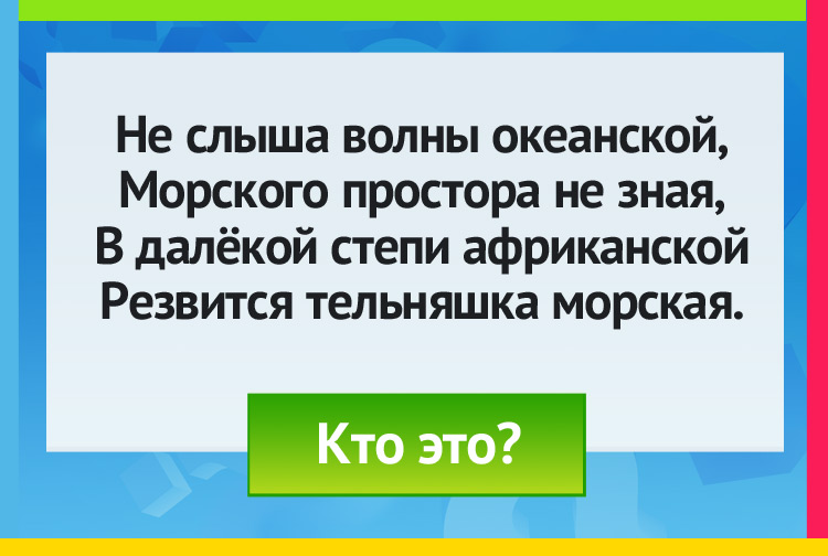 Не слыша волны океанской, Морского простора не зная, В далёкой степи африканской Резвится тельняшка морская.