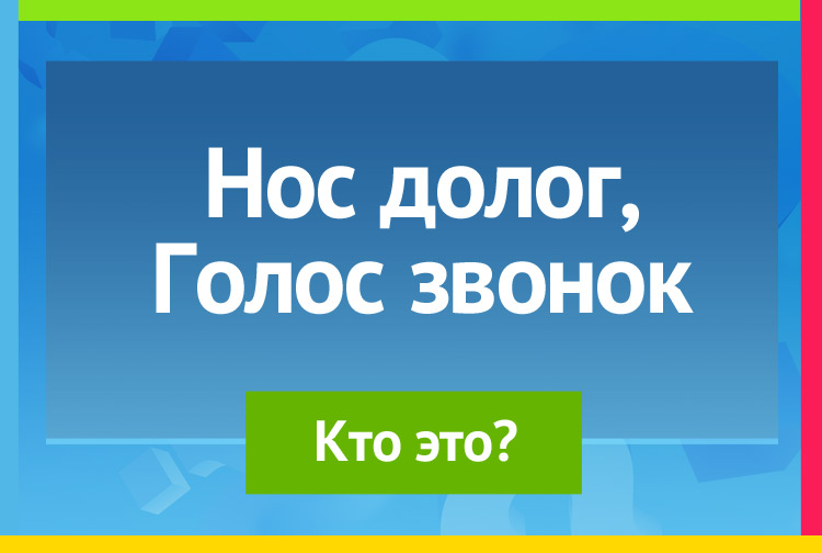 Нос долог, Голос звонок.