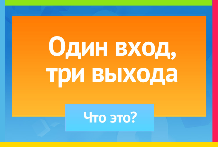 Один вход, три выхода.