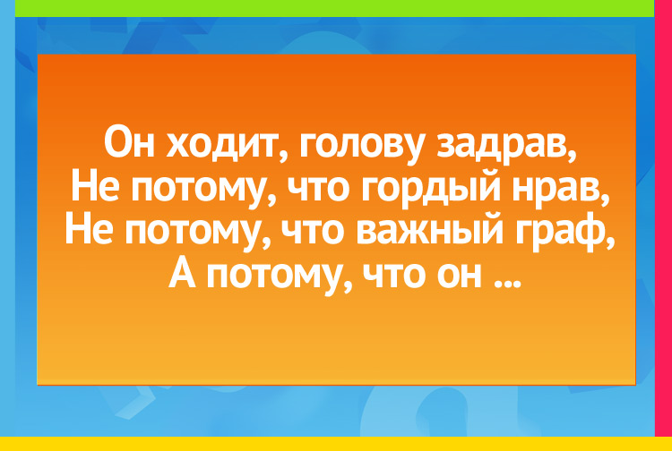 Загадка звучит так: Он ходит, голову задрав, Не потому, что гордый нрав, Не потому, что важный граф, А потому, что он...