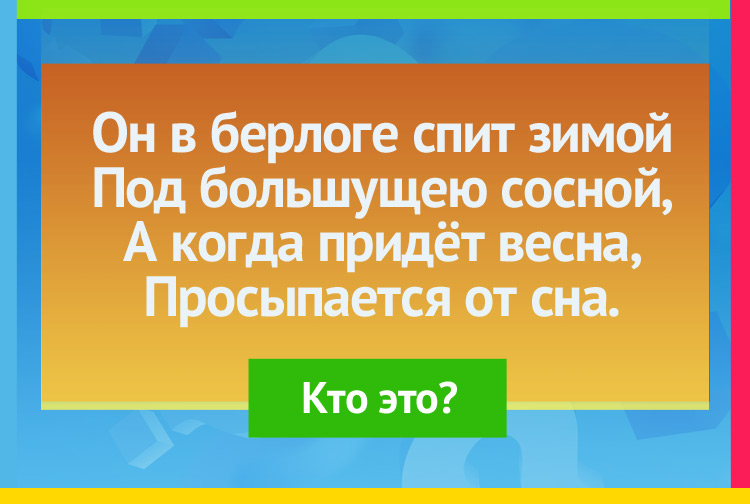 Он в берлоге спит зимой Под большущею сосной, А когда придёт весна, Просыпается от сна.