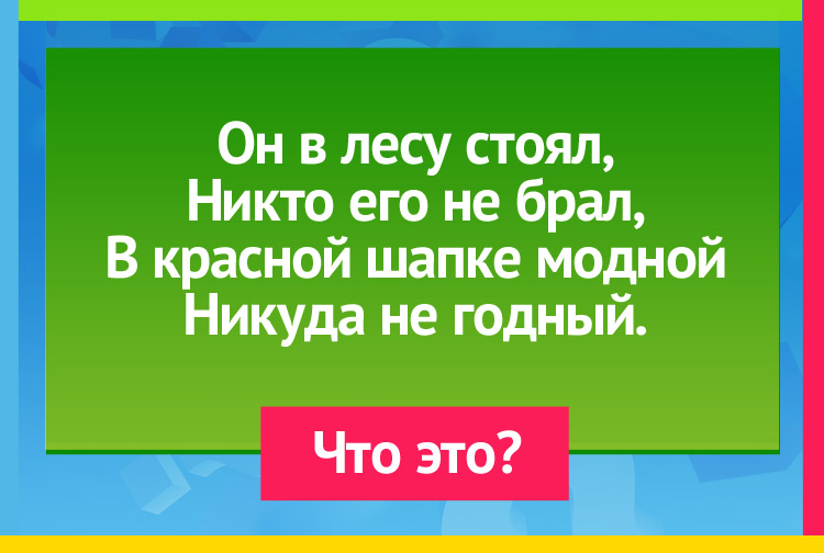 Он в лесу стоял, Никто его не брал, В красной шапке модной Никуда не годный.