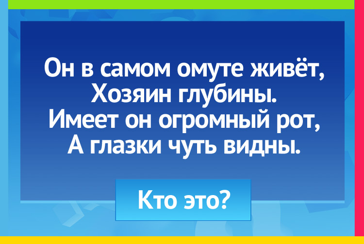 Он в самом омуте живёт, Хозяин глубины. Имеет он огромный рот, А глазки чуть видны.