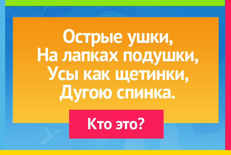 Острые ушки, На лапках подушки, Усы, как щетинки, Дугою спинка.