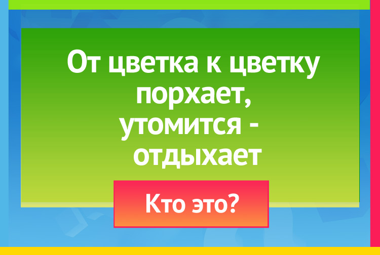 От цветка к цветку порхает, Утомится отдыхает.