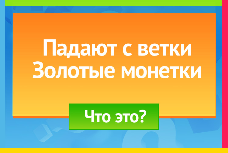 Падают с ветки Золотые монетки.