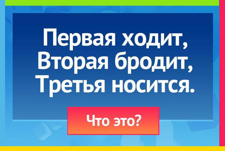 Первая ходит, Вторая бродит, Третья носится.