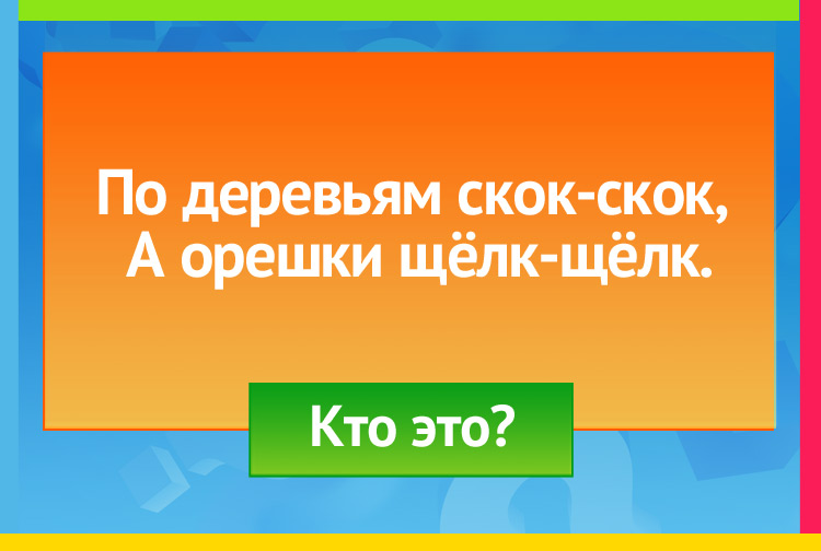По деревьям скок-скок, А орешки щёлк-щёлк.