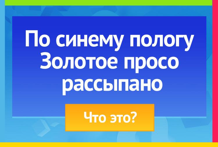 По синему пологу Золотое просо рассыпано.