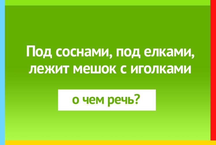 Под соснами, под ёлками, лежит мешок с иголками