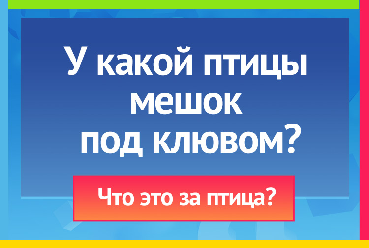 Птица с мешком под клювом