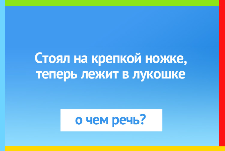 Стоял на крепкой ножке, теперь лежит в лукошке