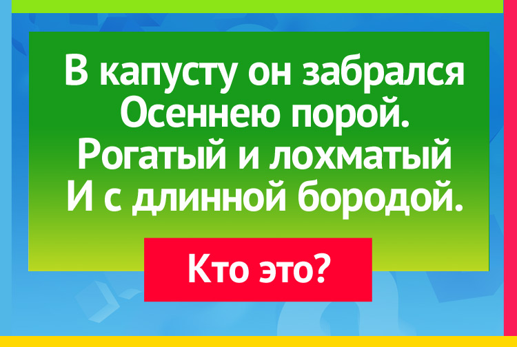 В капусту он забрался Осеннею порой. Рогатый и лохматый И с длинной бородой.