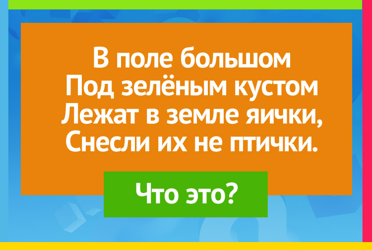 В поле большом Под зелёным кустом Лежат в земле яички, Снесли их не птички.
