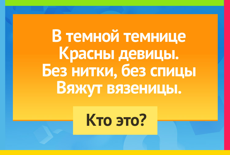 В темной темнице Красны девицы. Без нитки, без спицы Вяжут вязеницы.