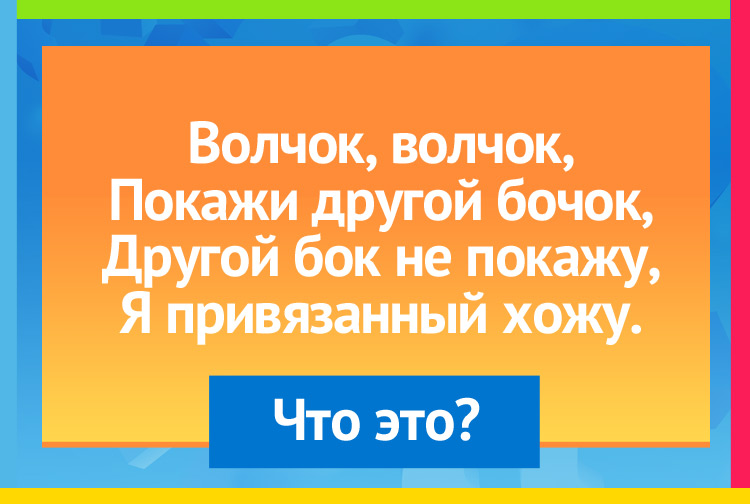 Волчок, волчок, Покажи другой бочок, Другой бок не покажу, Я привязанный хожу.