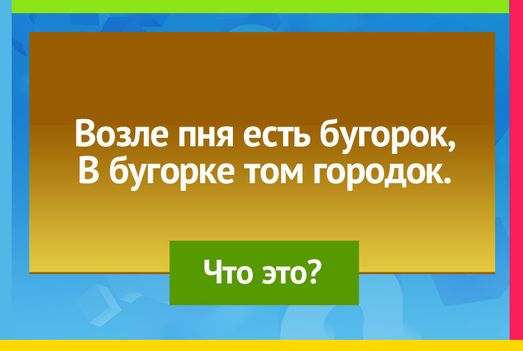 Возле пня есть бугорок, В бугорке том городок.