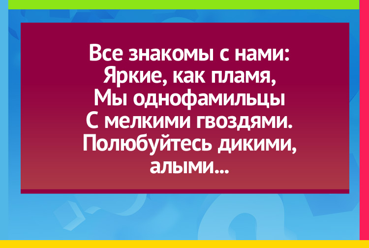 Все знакомы с нами: Яркие, как пламя, Мы однофамильцы С мелкими гвоздями. Полюбуйтесь дикими, Алыми...