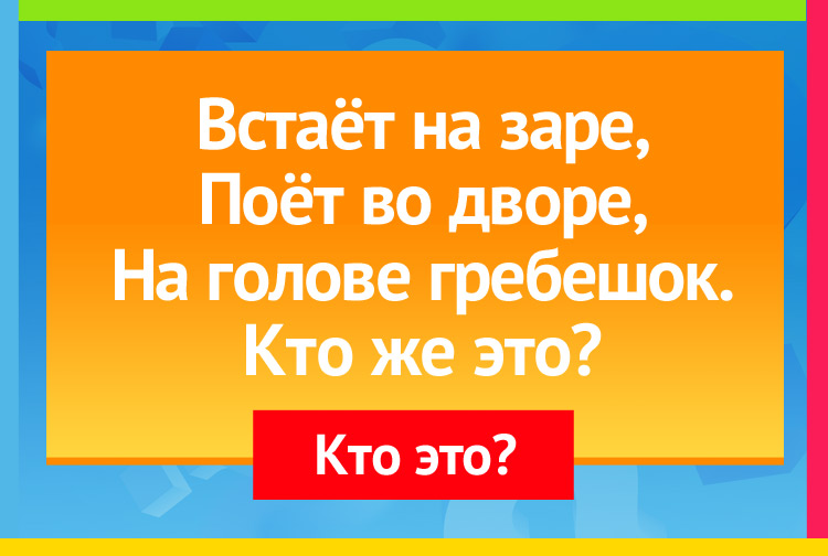 Встаёт на заре, Поёт во дворе, На голове гребешок. Кто же это?