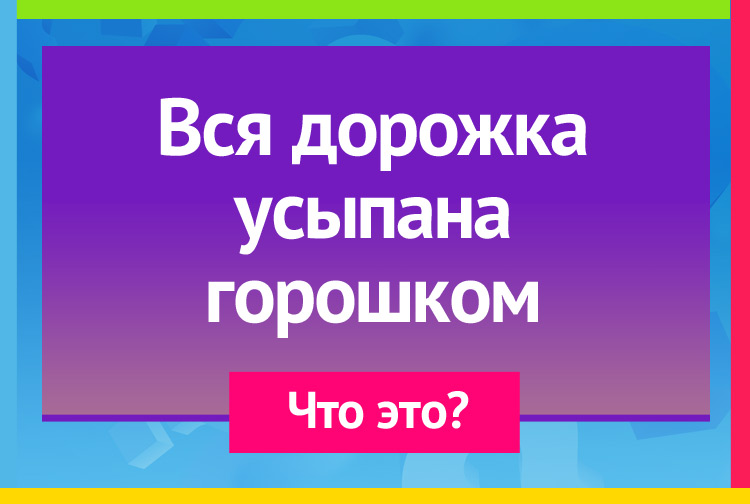 Вся дорожка усыпана горошком.