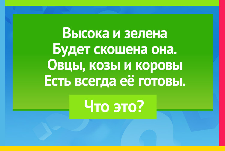 Высока и зелена Будет скошена она. Овцы, козы и коровы Есть всегда её готовы.